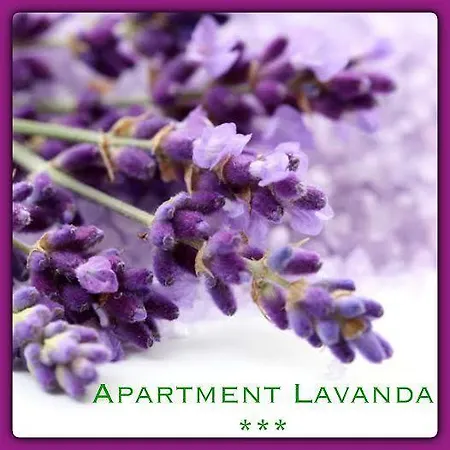 Apartment Mala Luce