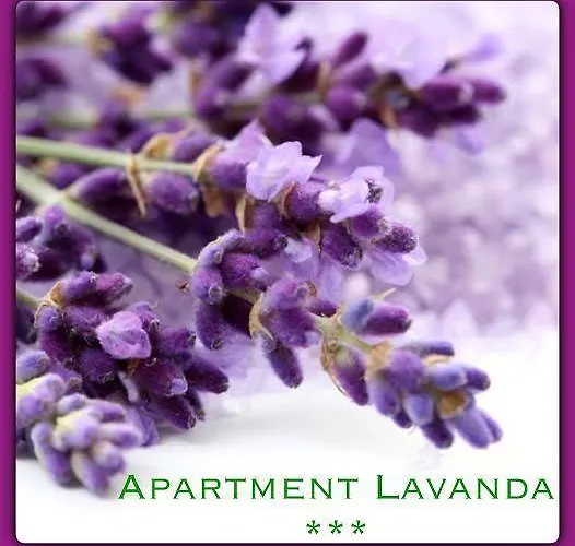 Apartman Mala Luce Stobrec